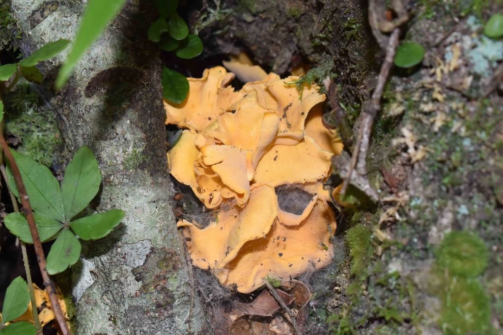 DSC_0127.jpg