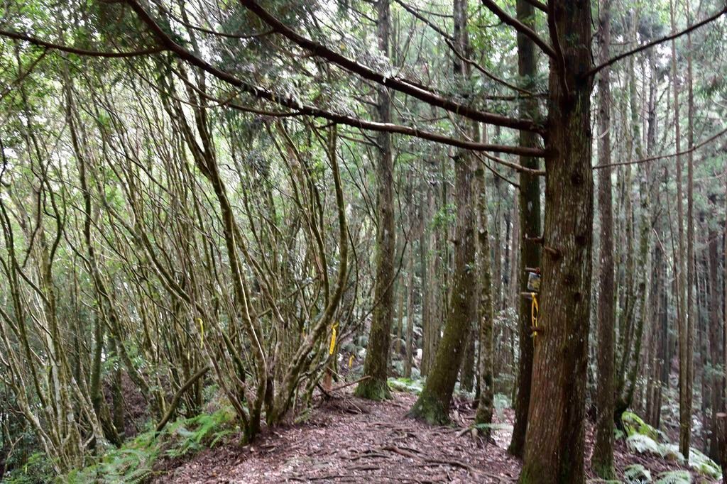 _DSC4630.jpg