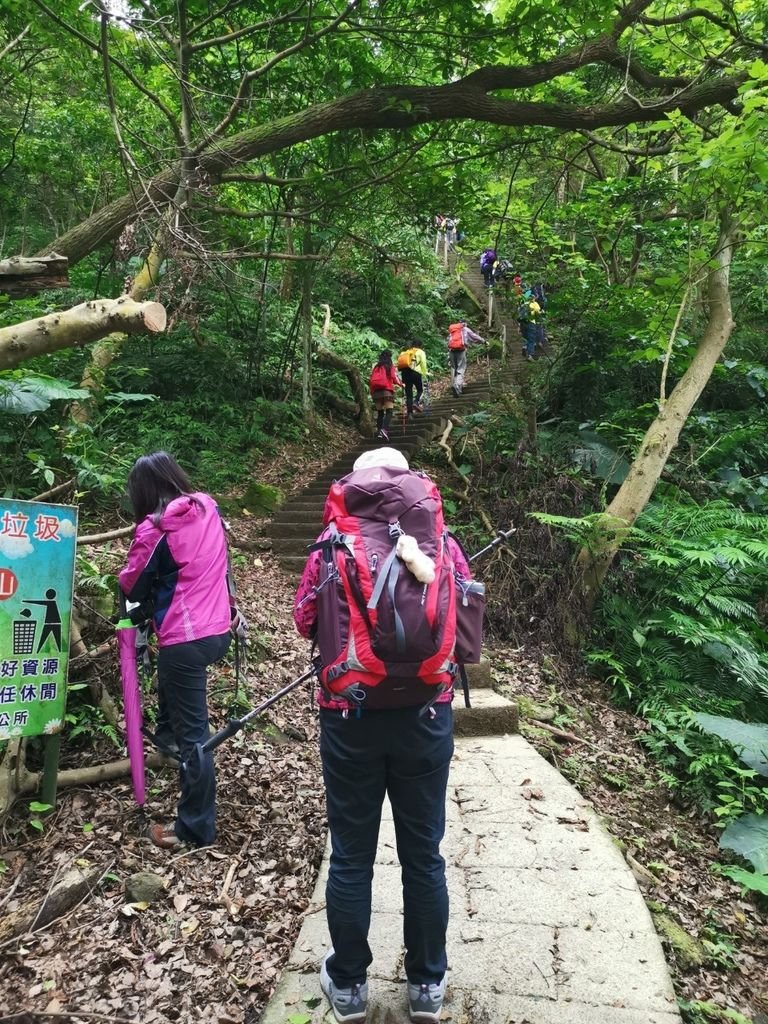 190504天上山 170408雲森瀑布_190504_0041.jpg