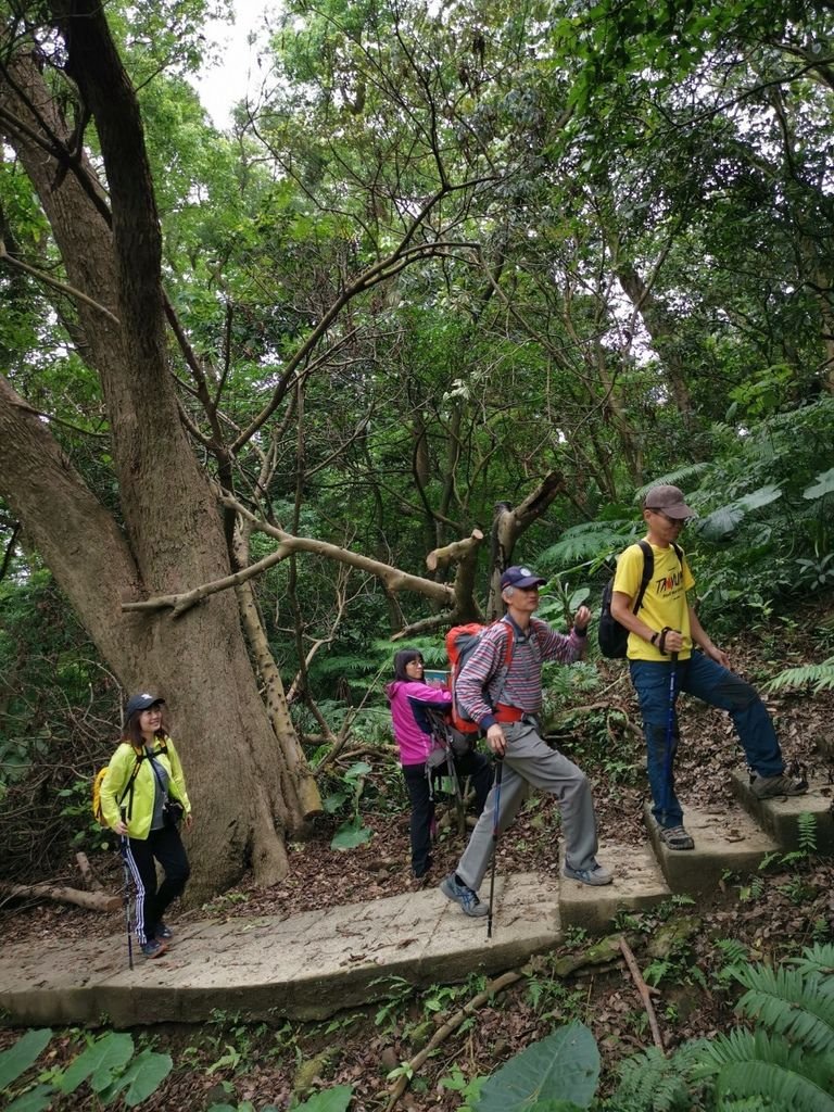 190504天上山 170408雲森瀑布_190504_0042.jpg