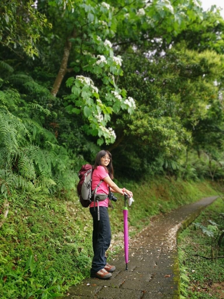 190504天上山 170408雲森瀑布_190504_0147.jpg
