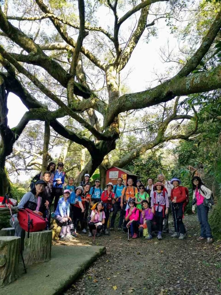 191102妙音步道171104山中湖_191102_0118.jpg