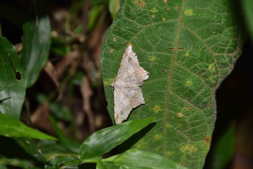 DSC_0031.jpg