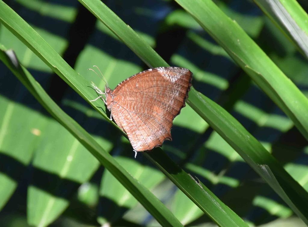 DSC_0165.jpg