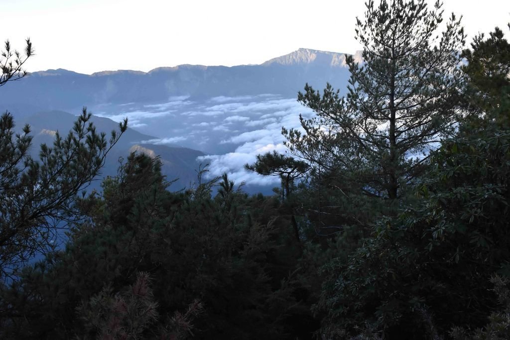 DSC_0022.jpg