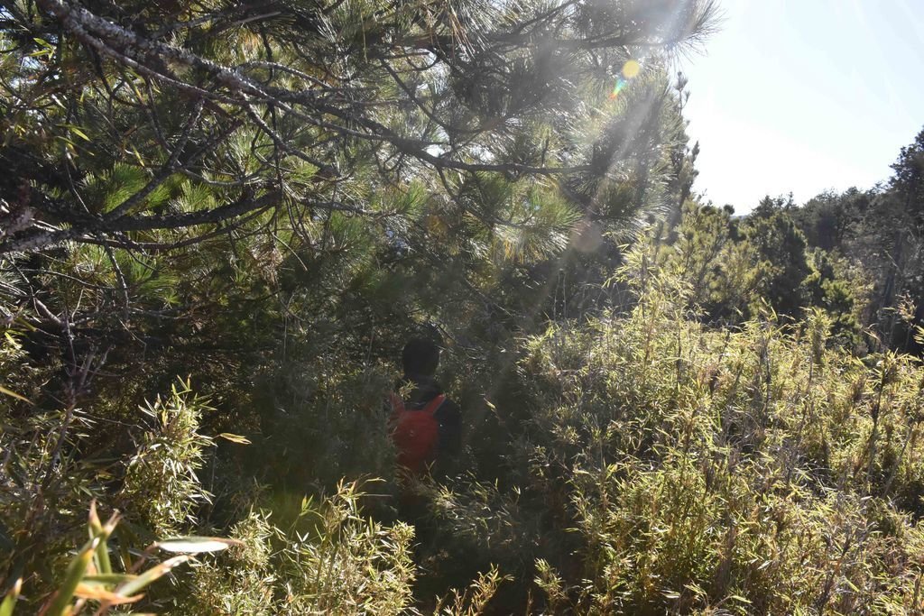 DSC_0120.jpg