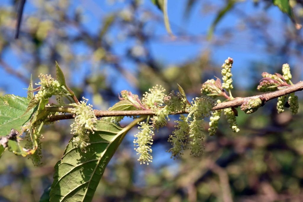 DSC_0022.jpg