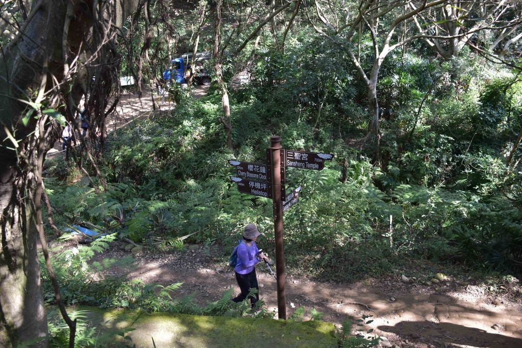 DSC_0062.jpg