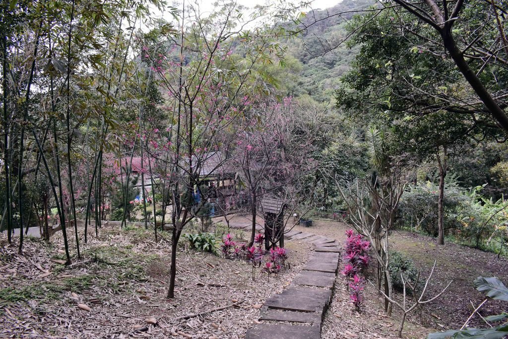 DSC_0195.jpg