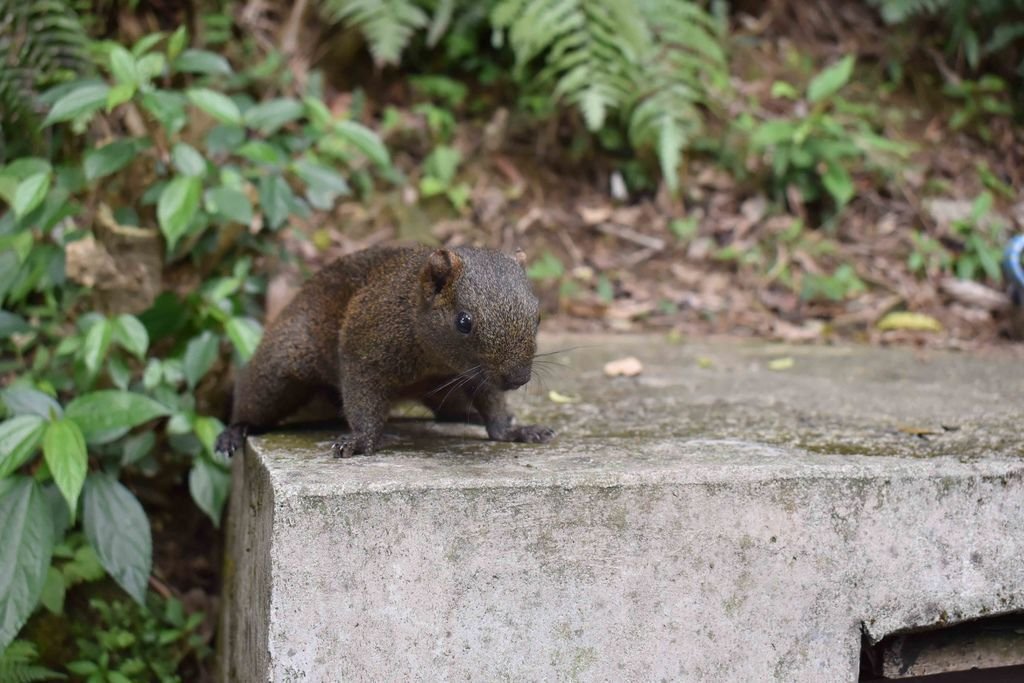 DSC_0143.jpg