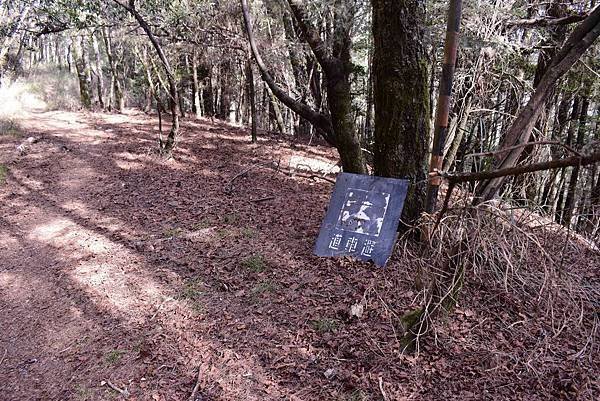 DSC_0061.jpg