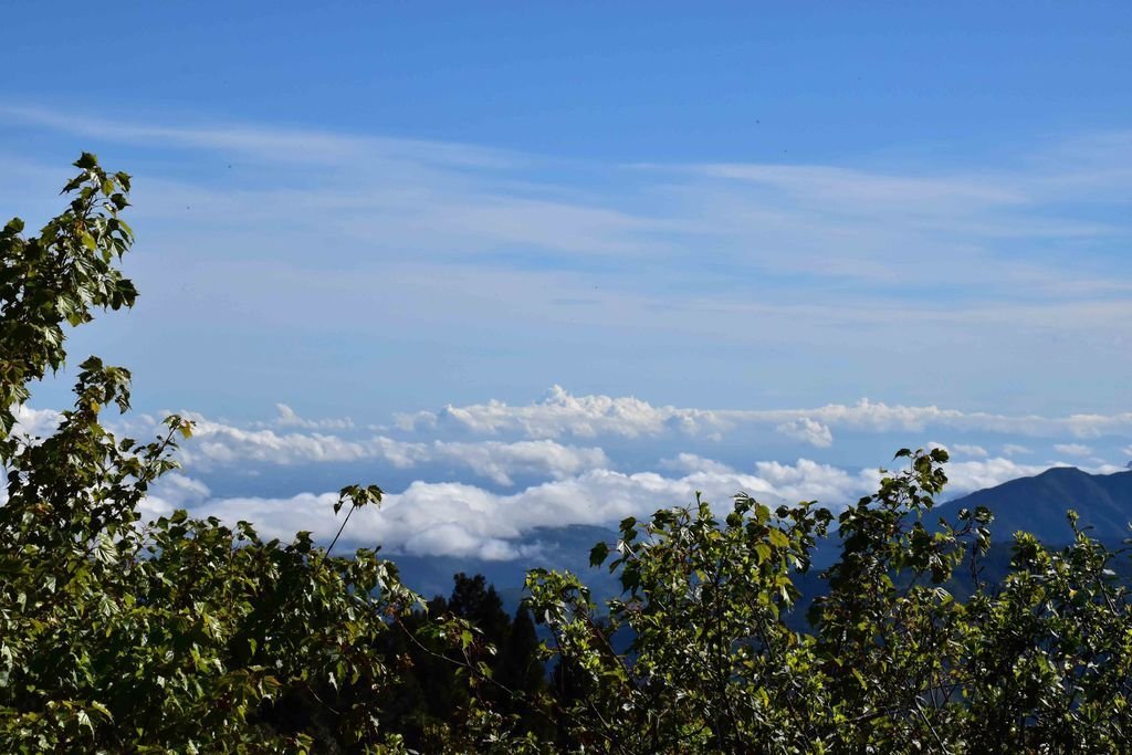 DSC_0154.jpg