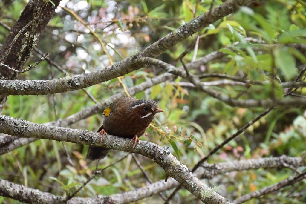 DSC_0206.jpg