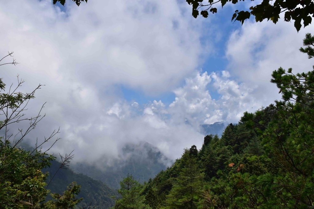 DSC_0220.jpg