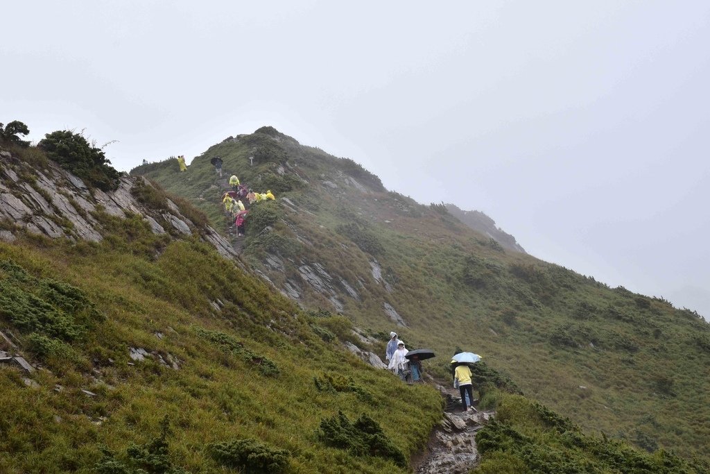 DSC_0178.jpg