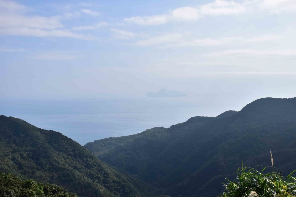 DSC_0722.jpg