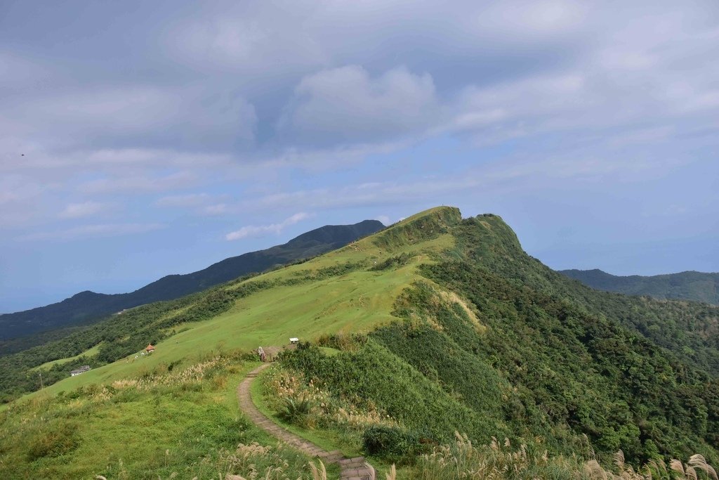 DSC_0738.jpg