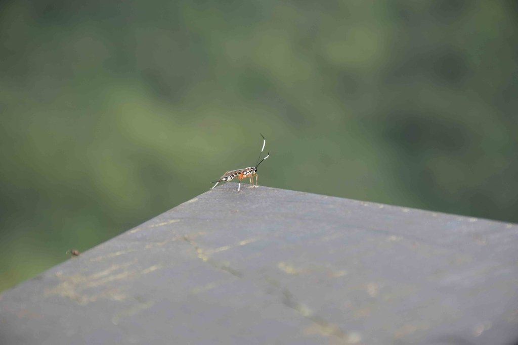 DSC_0807.jpg