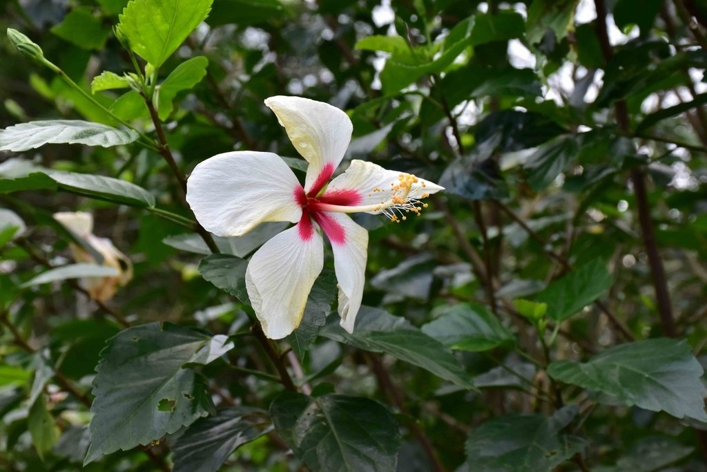 DSC_0857.jpg