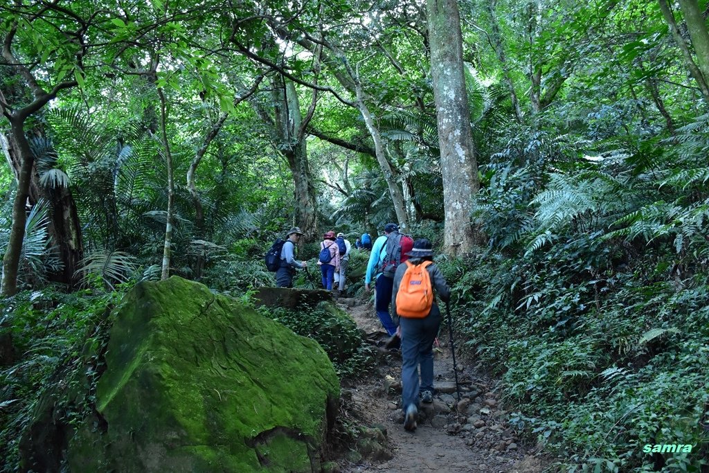 DSC_0029.jpg