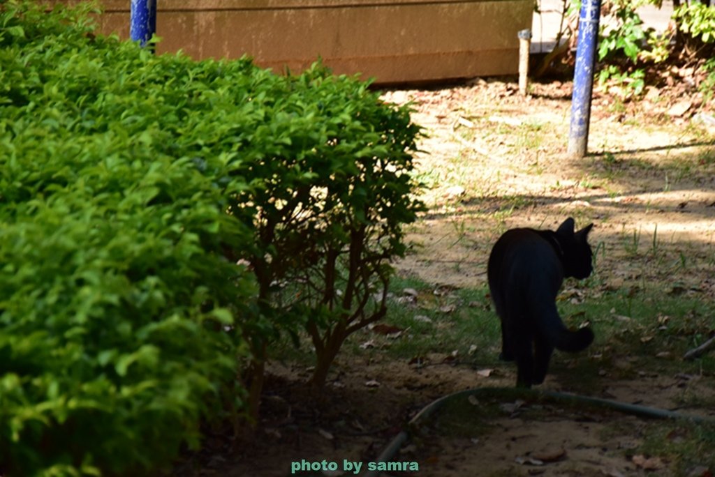 DSC_0965.jpg