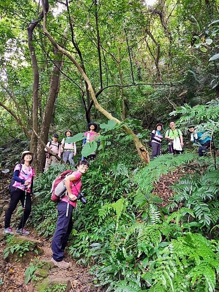 LINE_ALBUM_20220625 三峽鳶山_220625_0.jpg