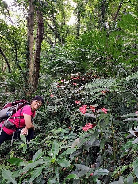 LINE_ALBUM_20220625 三峽鳶山_220625_10.jpg