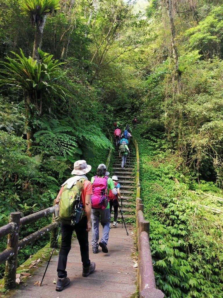 LINE_ALBUM_20220709 三民蝙蝠洞觀音洞_220709_3.jpg