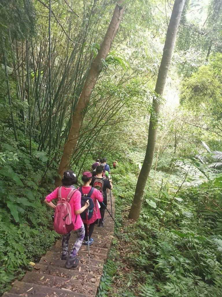 LINE_ALBUM_20220709 三民蝙蝠洞觀音洞_220709_5_0.jpg