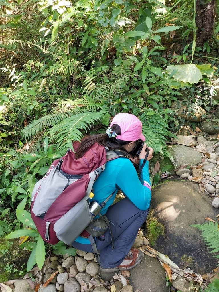LINE_ALBUM_20221029 新埔蓮華山飛龍步道_221029_7.jpg