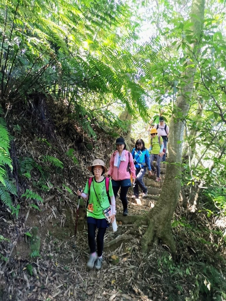 LINE_ALBUM_20230527 林口頂福巖步道_230527_9.jpg