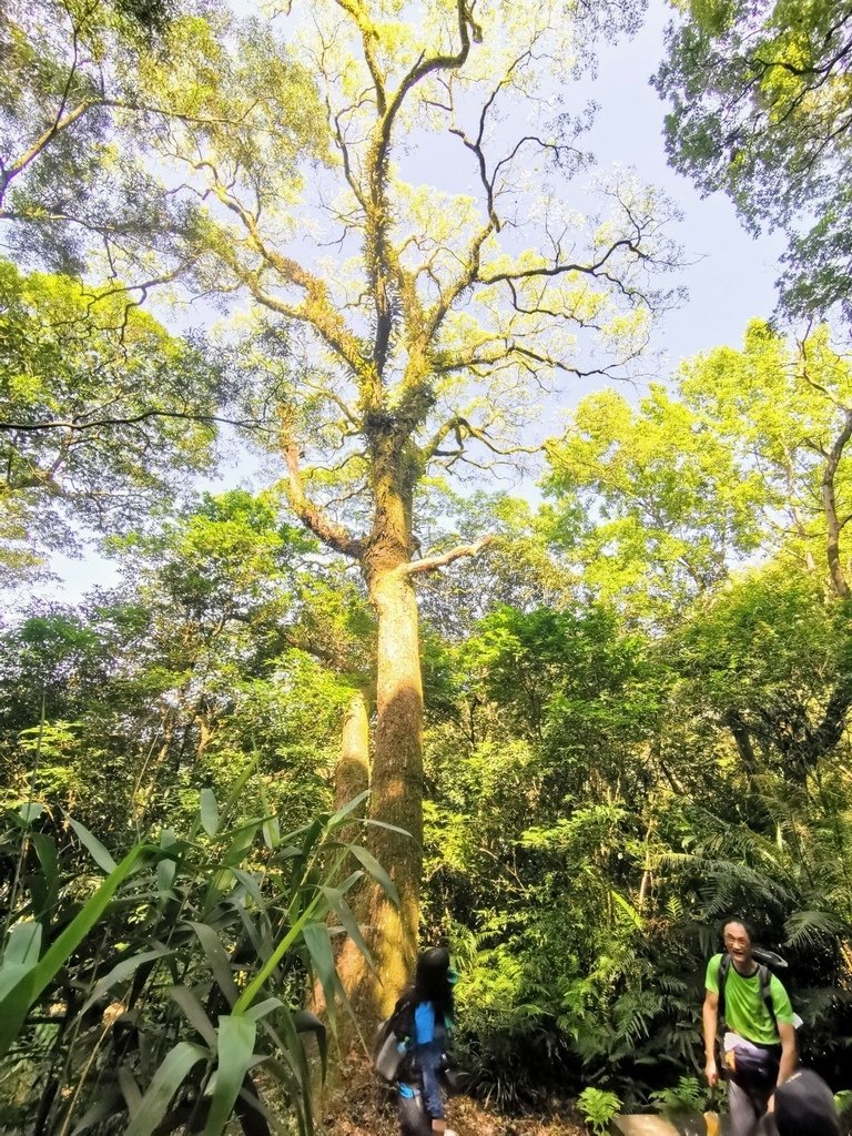 LINE_ALBUM_20230527 林口頂福巖步道_230527_11.jpg
