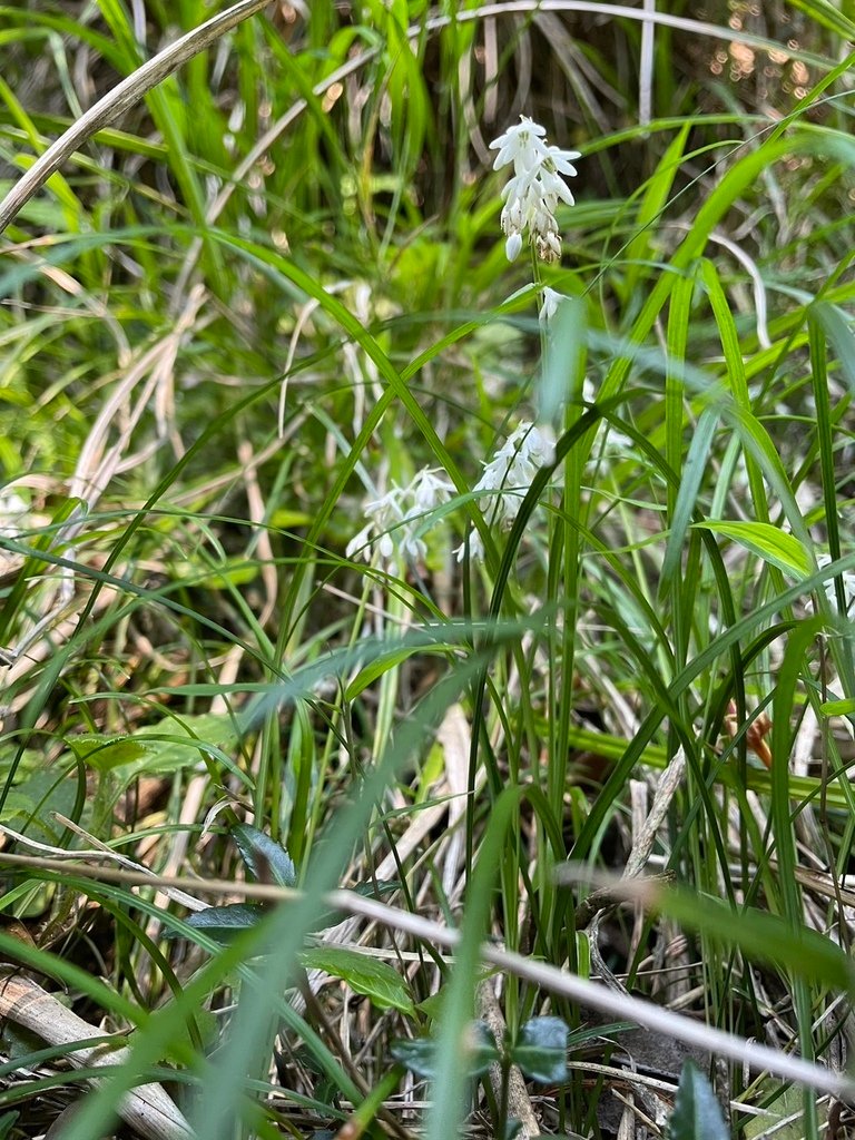S__30720050.jpg
