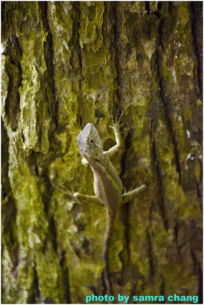 _DSC0593_副本.jpg