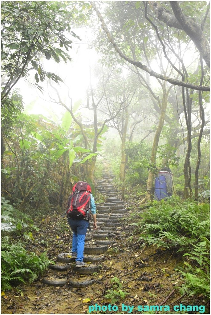 張厝→望仙亭→405高地→觀雲亭來回20231230