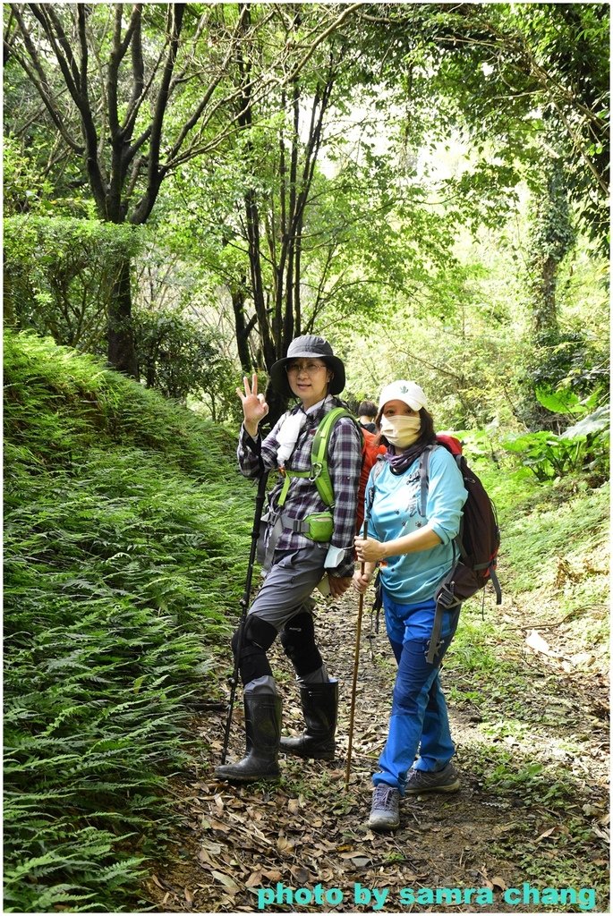 張厝→望仙亭→405高地→觀雲亭來回20231230