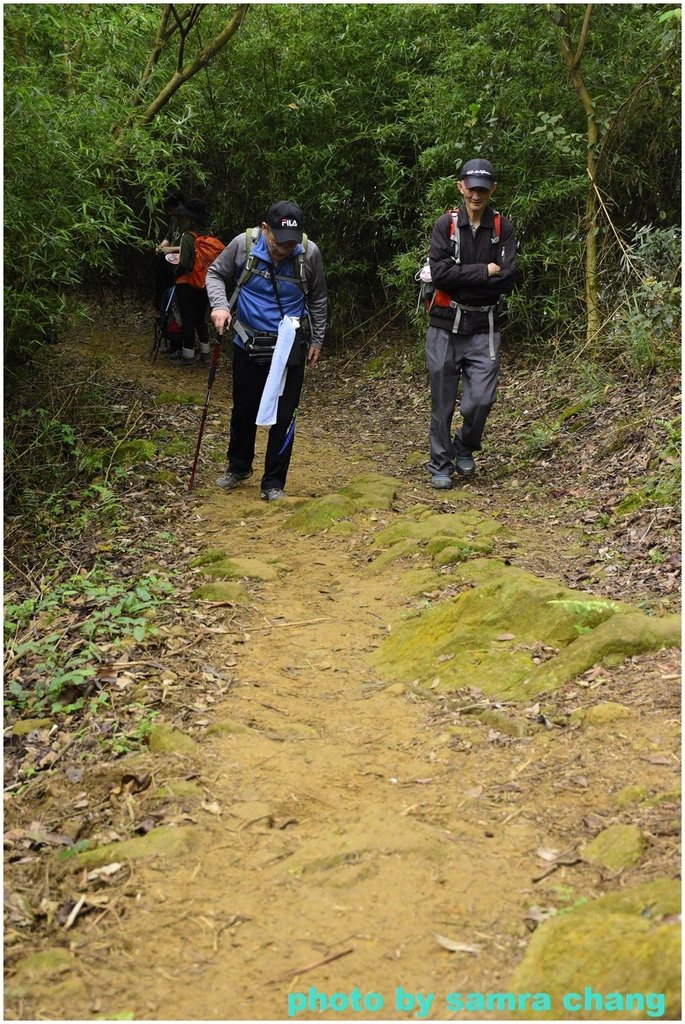 碧龍宮→鶯歌石步道→光明山稜線→忠義宮→光明山稜線→二坑步道