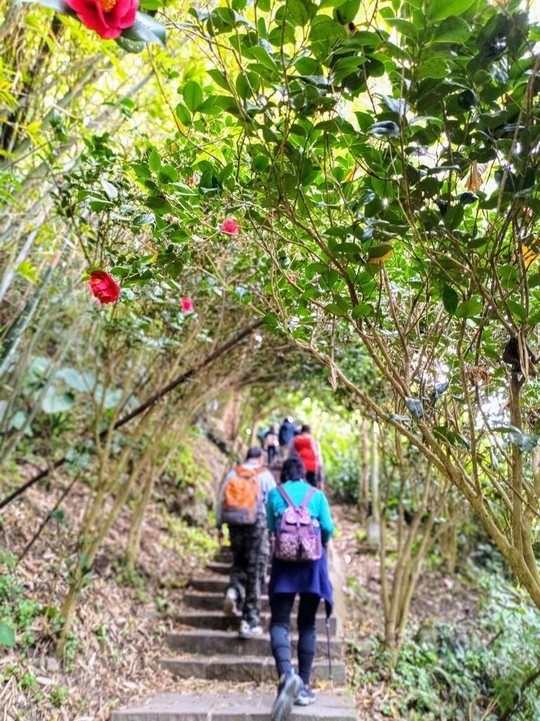 LINE_ALBUM_20240120 觀音山硬漢嶺_240120_3.jpg