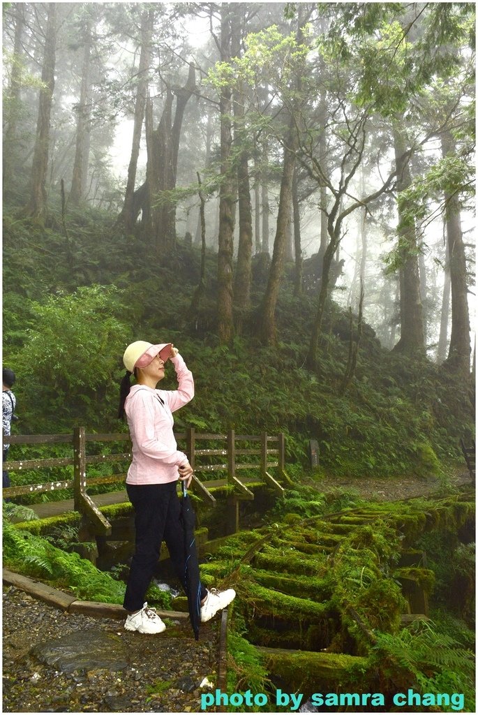 2024 朱家家族旅遊~~見晴步道