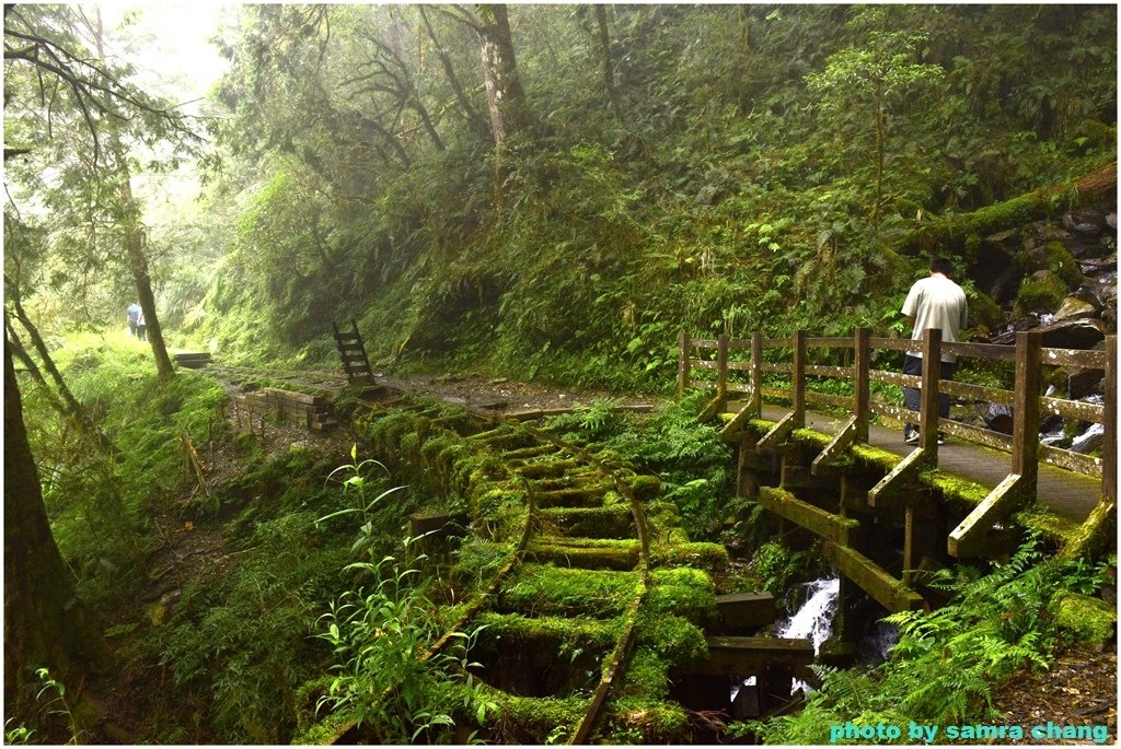 2024 朱家家族旅遊~~見晴步道