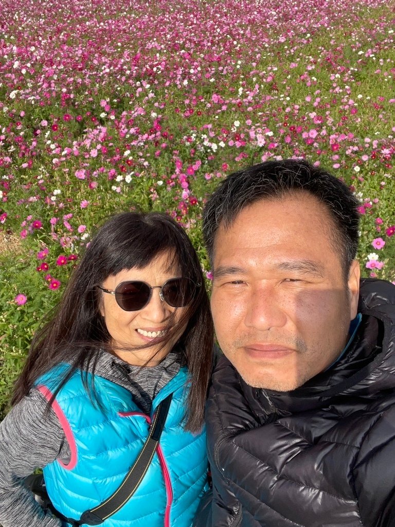 新竹芎林下山村花海20250127