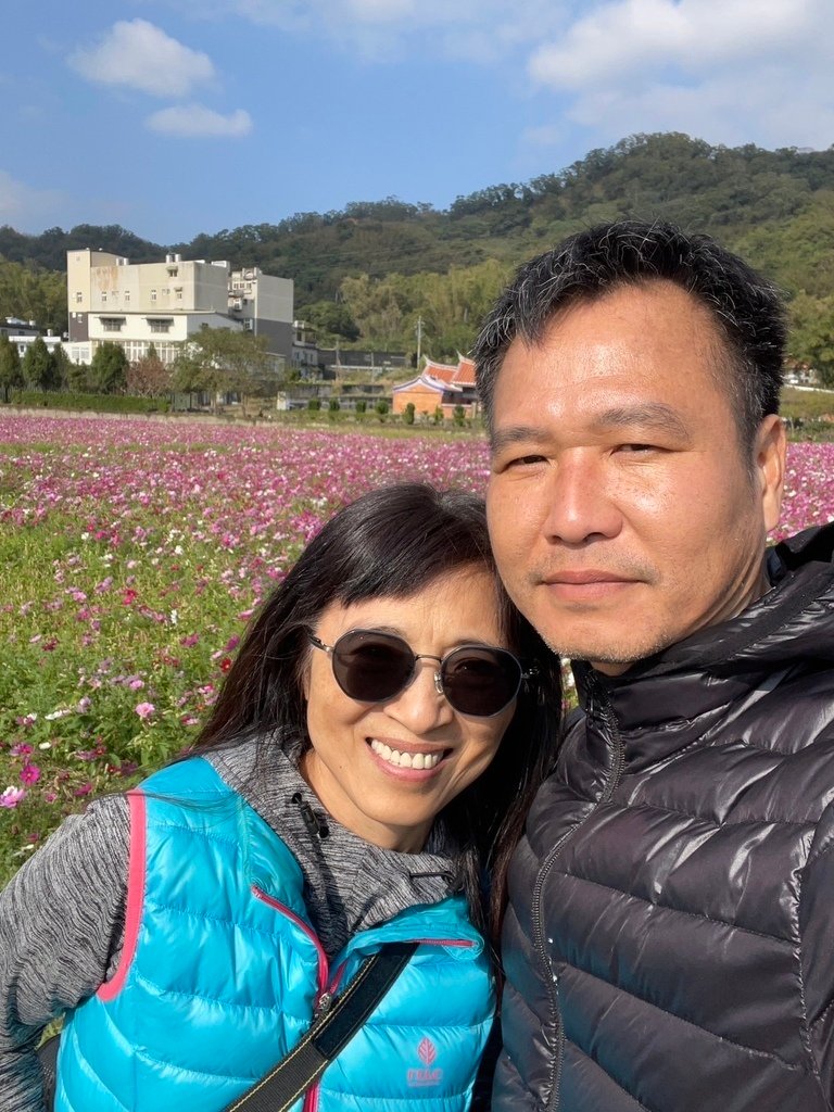 新竹芎林下山村花海20250127