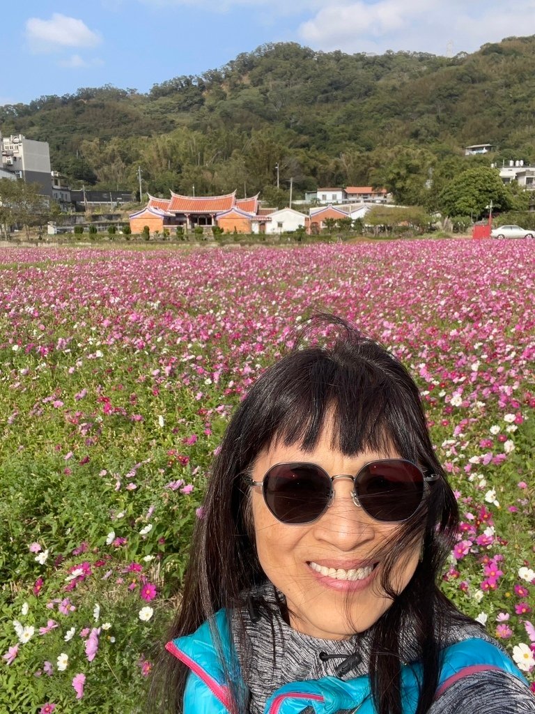 新竹芎林下山村花海20250127