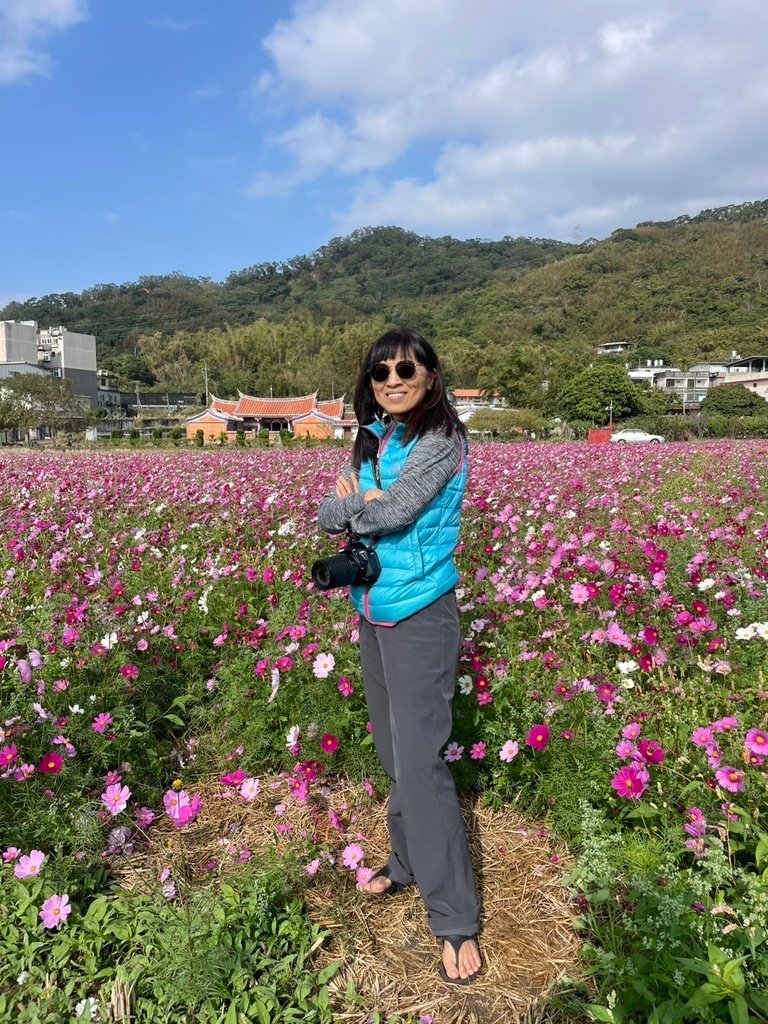 新竹芎林下山村花海20250127