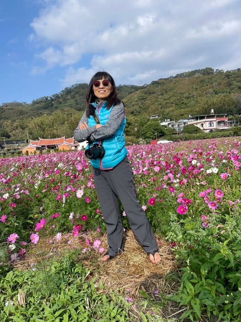 新竹芎林下山村花海20250127