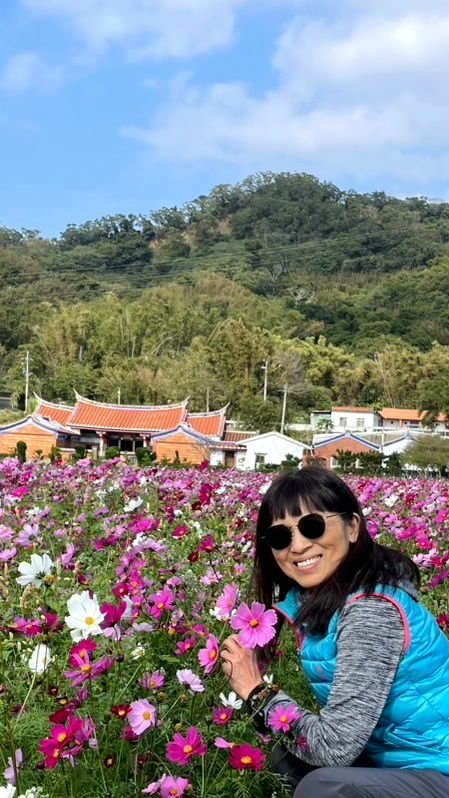 新竹芎林下山村花海20250127
