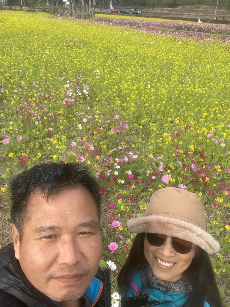 新竹芎林下山村花海20250127