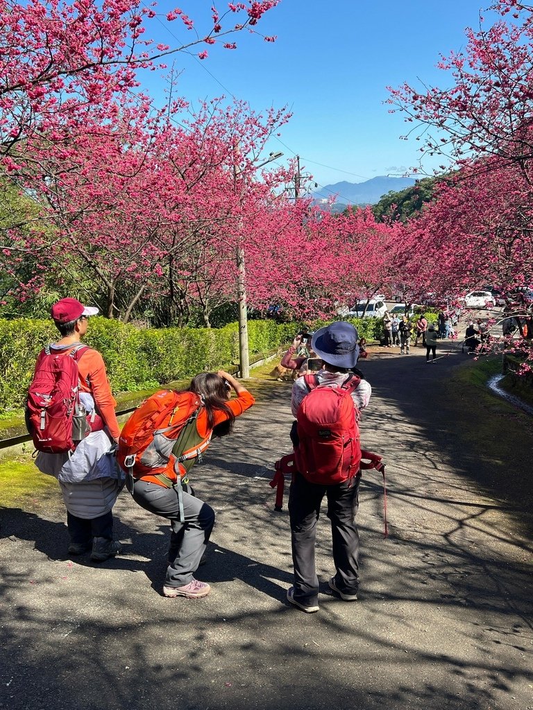 LINE_ALBUM_20250215 龜山張厝步道-大棟山-元德寶宮-張厝.O型👣_250215_20.jpg