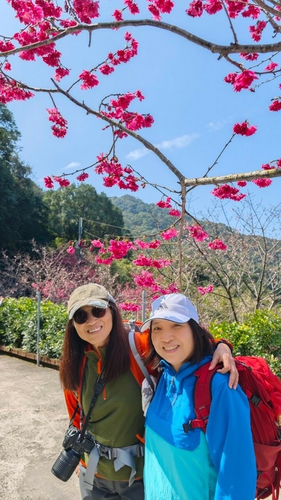 LINE_ALBUM_20250215 龜山張厝步道-大棟山-元德寶宮-張厝.O型👣_250215_51.jpg