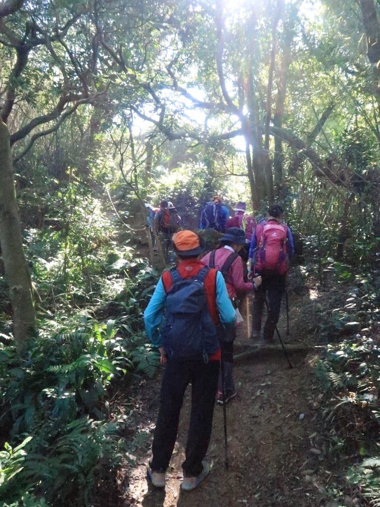 LINE_ALBUM_20250215 龜山張厝步道-大棟山-元德寶宮-張厝.O型👣_250215_69.jpg